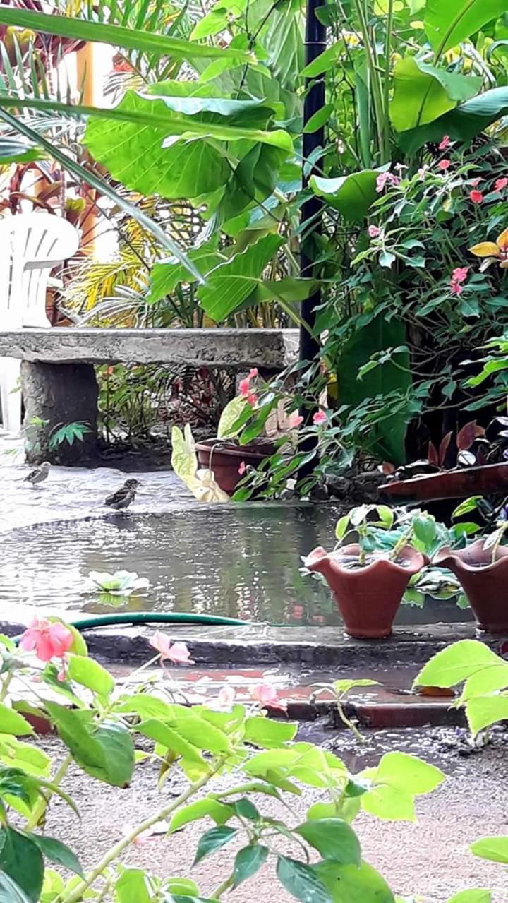 Pousada Brumar Rio de Janeiro Eksteriør billede